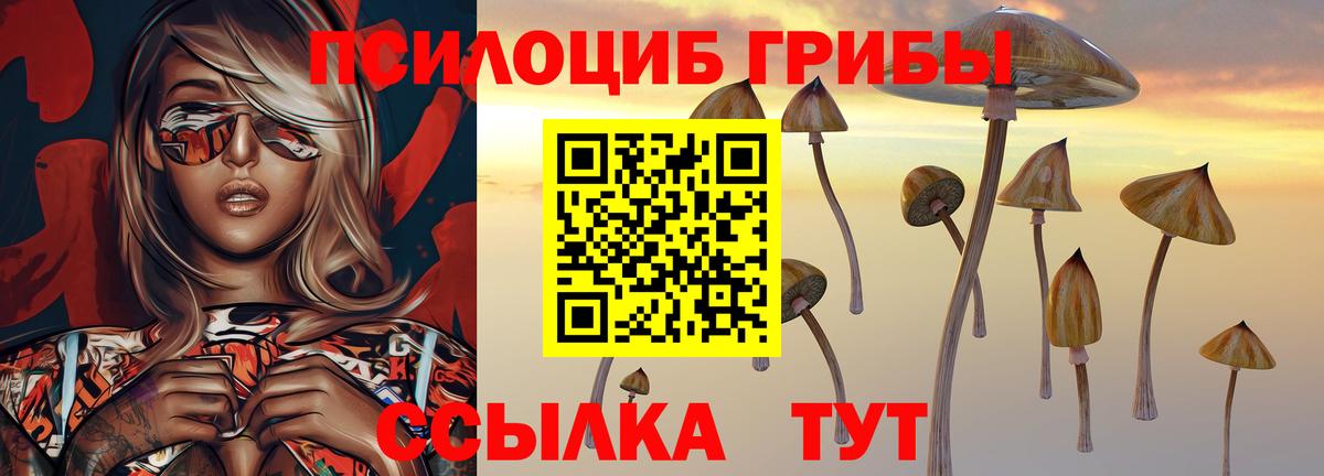 Сосновоборск  Галлюциногенные грибы GOLDEN TEACHER  Псилоцибиновые грибы MAGIC MUSHROOMS  Вход с VPN 