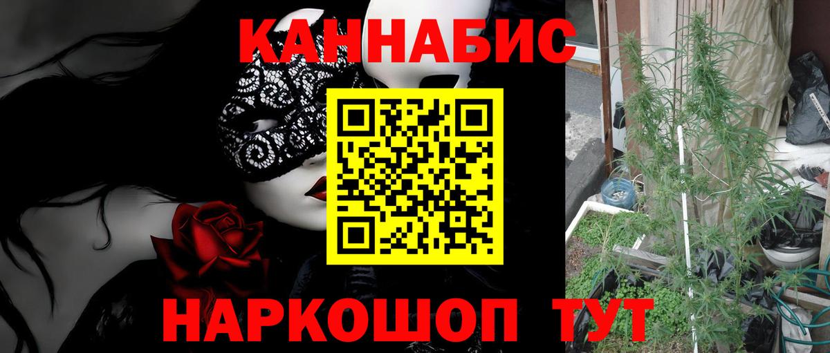 Шишки марихуана SATIVA & INDICA Сосновоборск